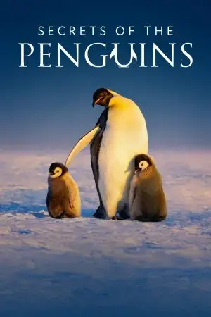 Secrets of the Penguins Secrets of the Penguins